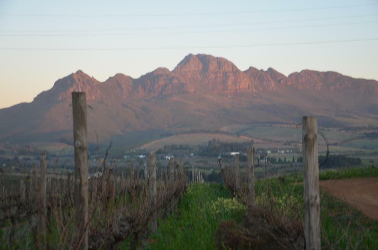 Art House Villa Stellenbosch Exterior photo